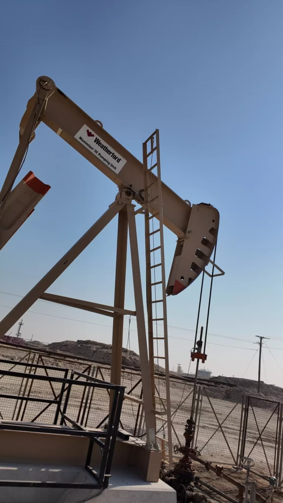 dji_mimo_0_0_0_1768376023617