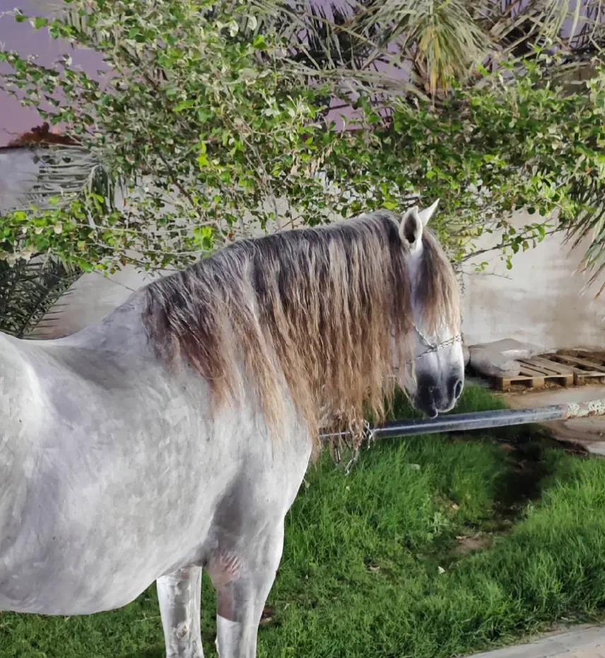 dbf97b692739757fb5180c731bb3dbf2_3