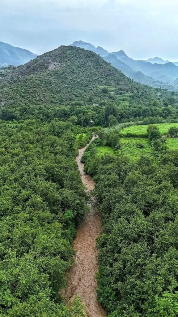 Agriculture Aseer Arabia