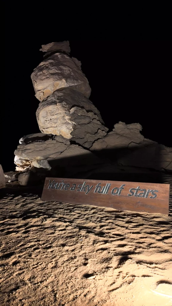 dji_mimo_0_0_0_1768376425094