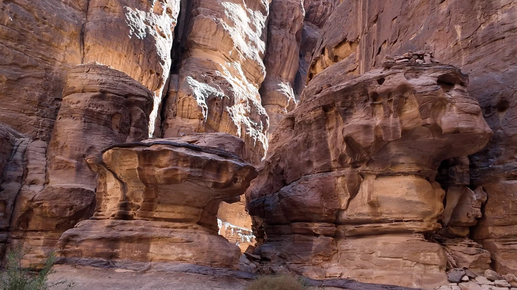 dji_mimo_0_0_0_1768376801659