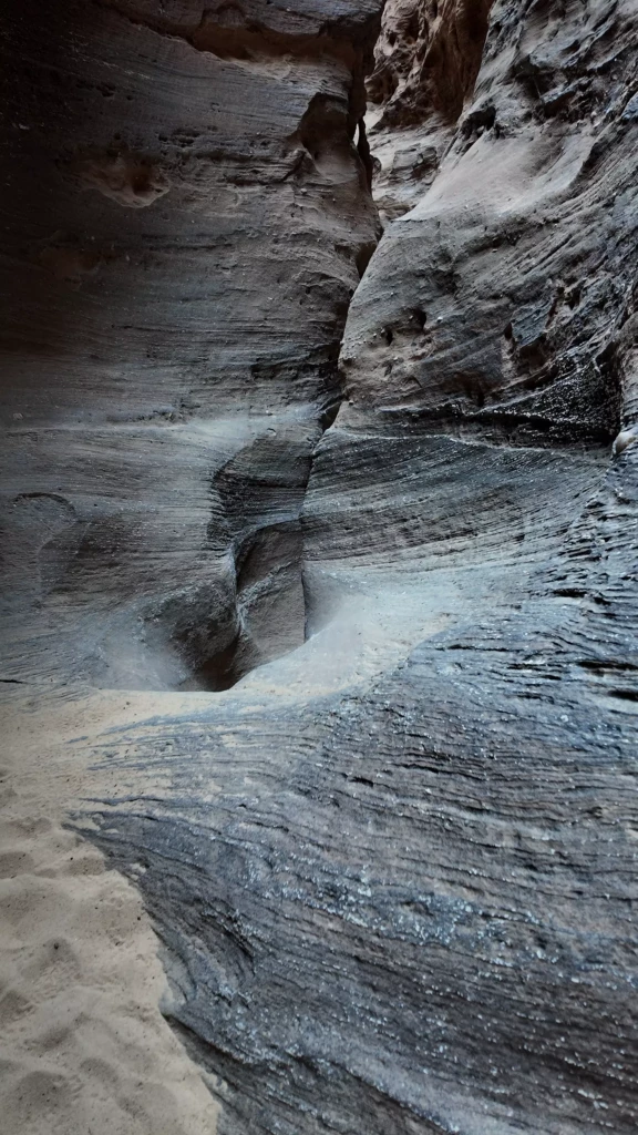 dji_mimo_0_0_0_1768376844709