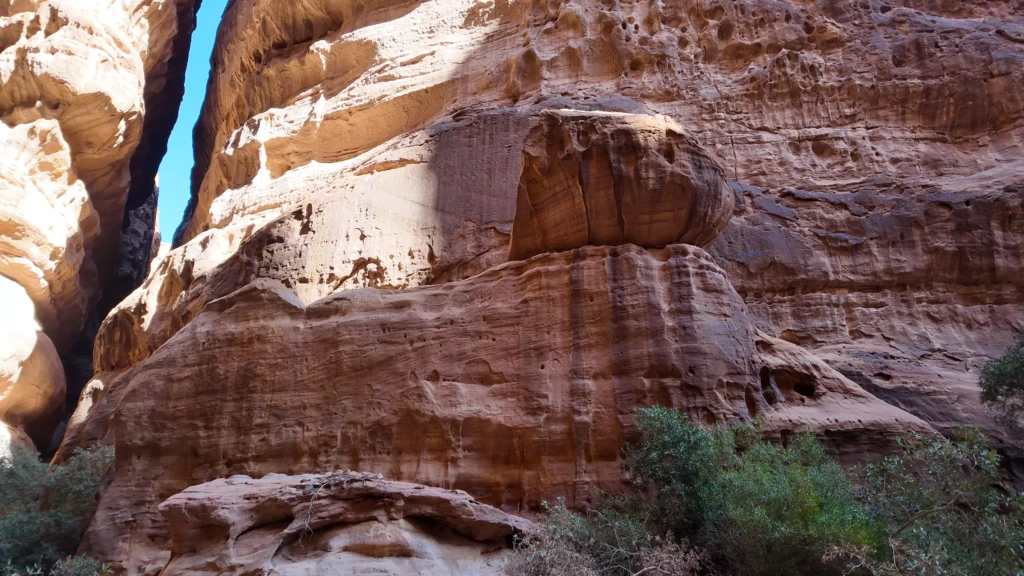 dji_mimo_0_0_0_1768376863878