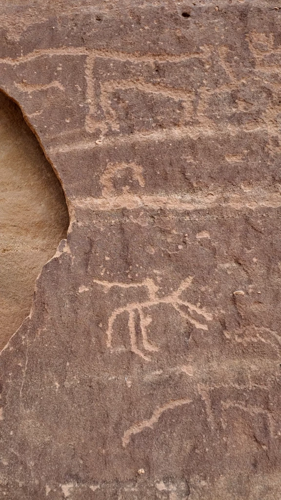 dji_mimo_0_0_0_1768377116201