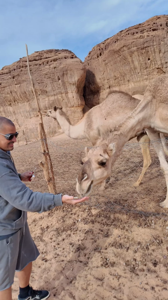 dji_mimo_0_0_0_1768377344772