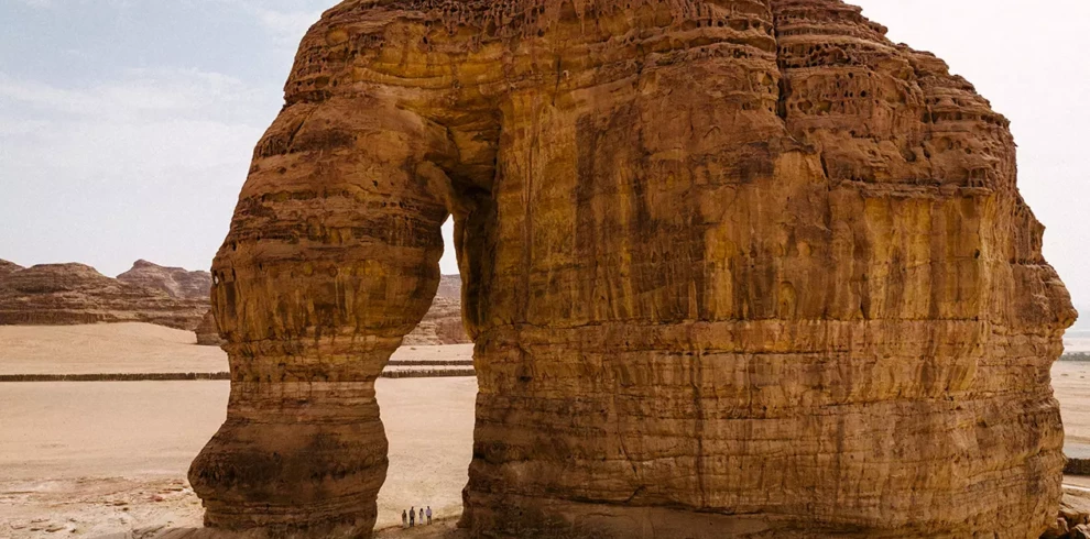 Habitas_Alula_Elephant