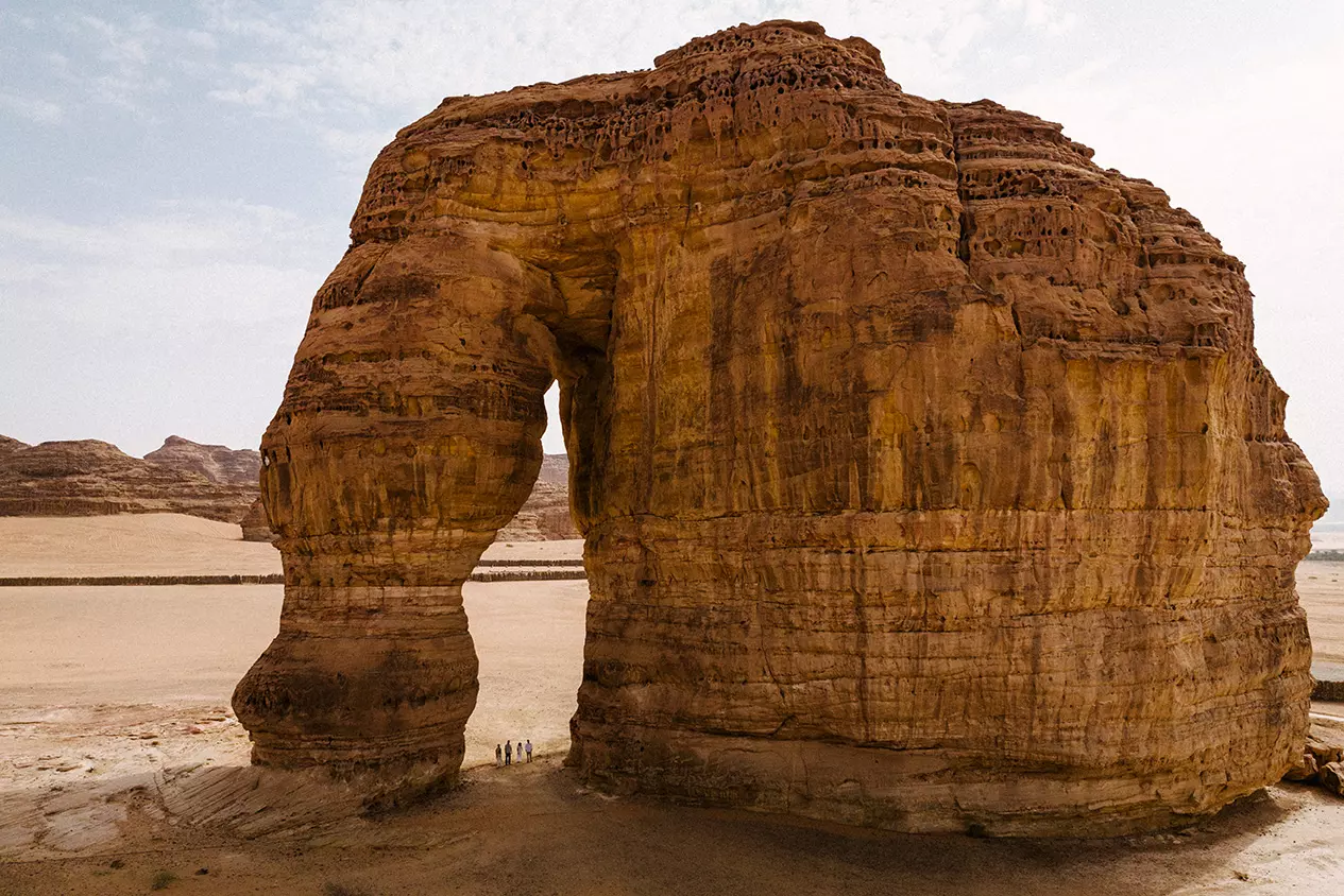 Habitas_Alula_Elephant