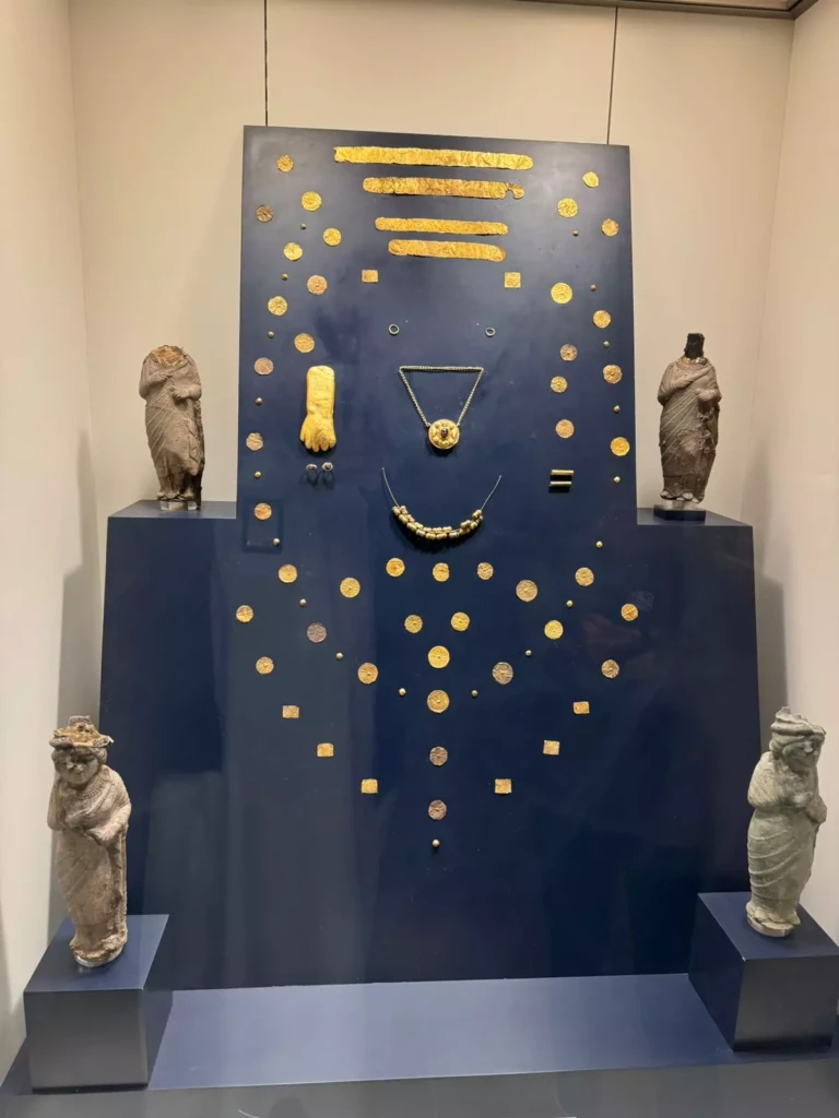 WhatsApp Image 2026-01-16 at 13.50.51